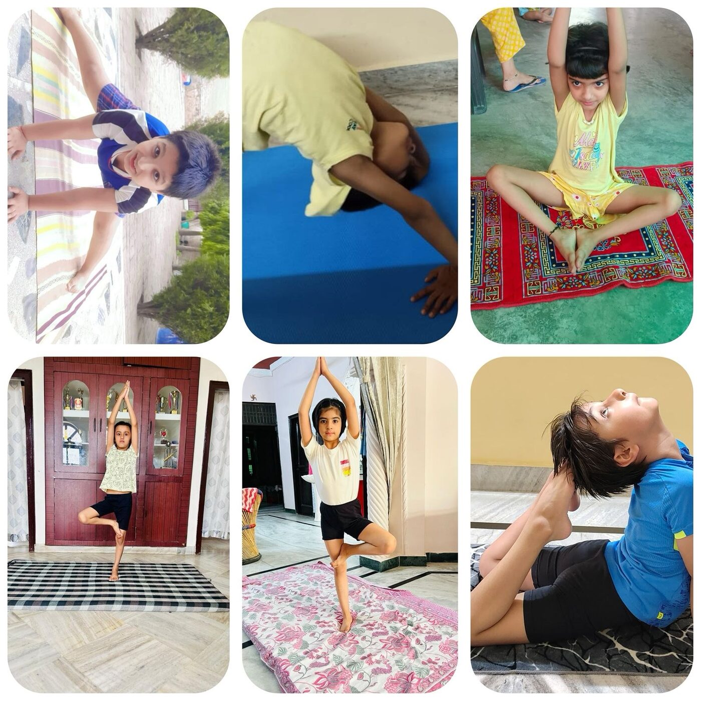 International Yoga Day at TLS Rohtak: Asanas, Pranayama and a Well-Started Morning